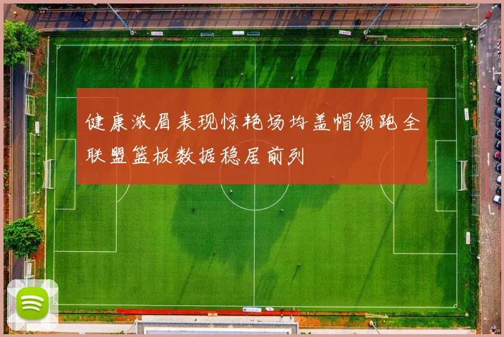 健康浓眉表现惊艳场均盖帽领跑全联盟篮板数据稳居前列