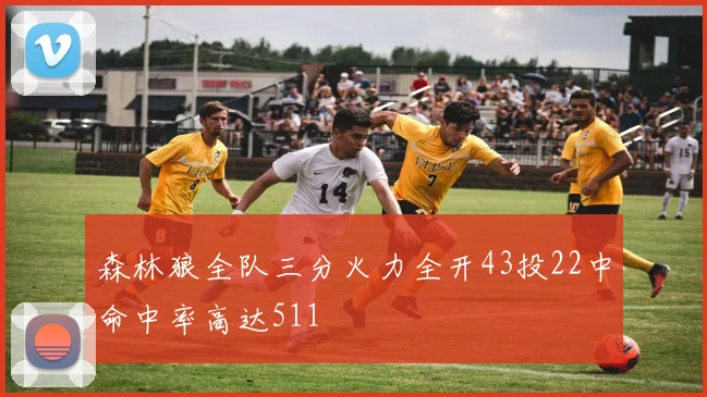 森林狼全队三分火力全开43投22中命中率高达511