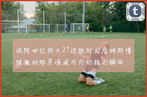 诺阿回忆热火27连胜时刻詹姆斯情绪激动球员通道内外的精彩瞬间